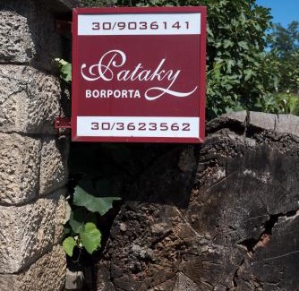 Tarcal Bed & Breakfast | Pataky Borporta