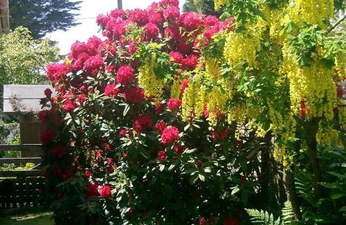 St Teath Bed & Breakfast | Paths End