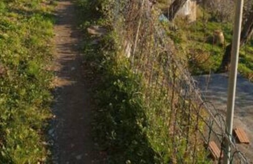 Sori Apartment | Peace between the olive trees and the sea