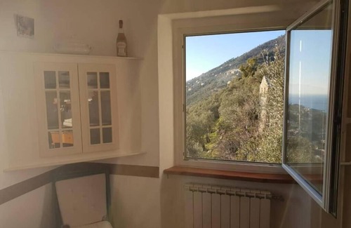 Sori House | Peace between the olive trees and the sea