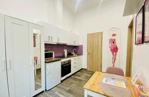 Erzsebetvaros Condo | Peaceful central studio with A/C - Brick House