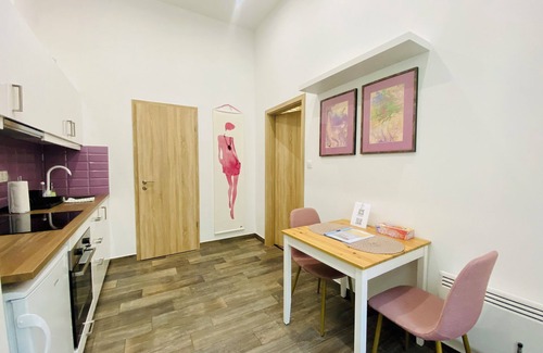 Erzsebetvaros Condo | Peaceful central studio with A/C - Brick House