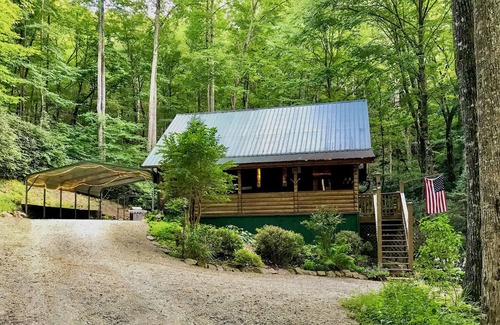 Andrews Cabin | Peaceful creekside Mountain Chalet in the woods, listen to waterfalls, firepit