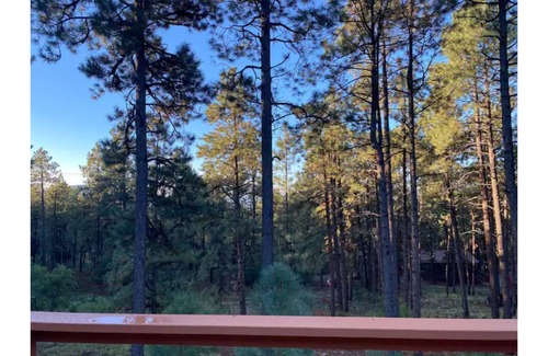 Forest Lakes House | Peaceful Mountain House on 1 Acre -Family Friendly