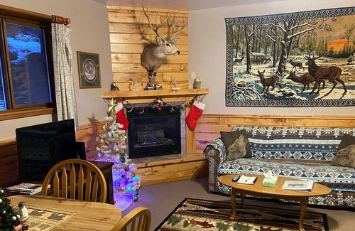 Bayfield Cabin | Peaceful retreat 1/2 mile from Lake Vallecito