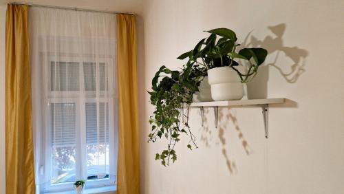 Gyor Apartment | PEARL Apartman