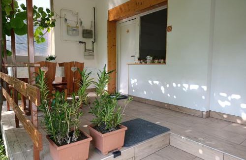 Balatonkiliti Apartment | Pelso Holiday Apartments Hóvirág