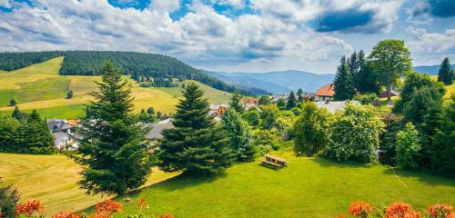 Todtnauberg House | Pension Elisabeth