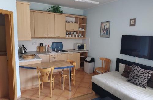 Spindleruv Mlyn Apartment | Pension Kubů Apartment 4 samostatný byt s kuchyní