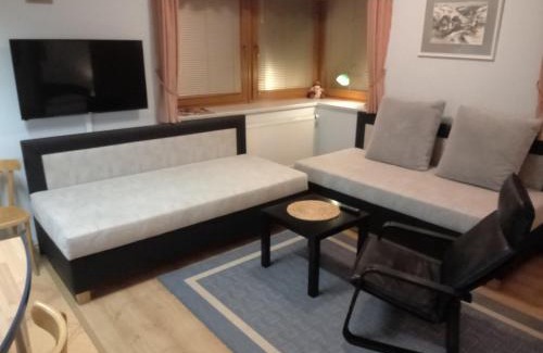 Spindleruv Mlyn Apartment | Pension Kubů Apartment 4 samostatný byt s kuchyní