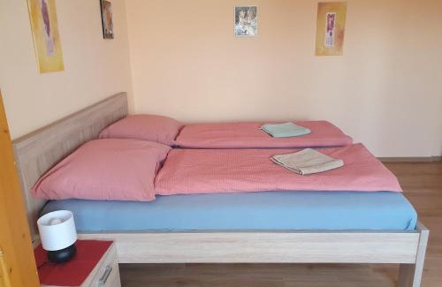 Mikulov House | Pension Zelený strom