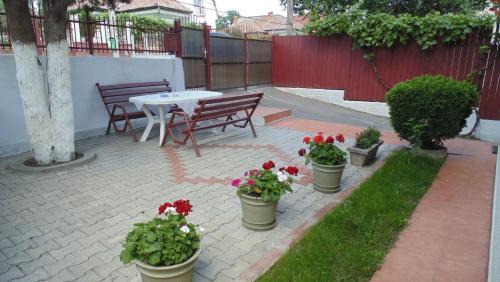 Cluj-Napoca House | Pensiunea Mioval