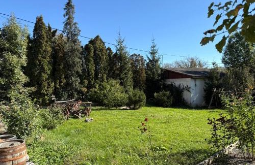 Brancovenesti House | Pensiunea Nóra's Garden