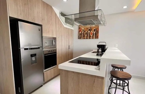 Luis Donaldo Colosio Apartment | Penthouse 5a Av. Alberca privada