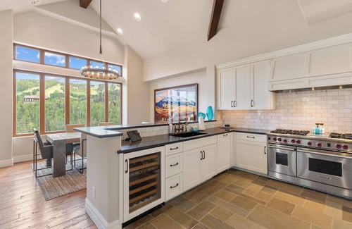 Mountain Village Villa | Penthouse Mountain Villa - Ski-in/Ski-out on Sundance run.