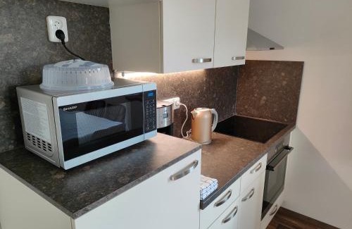 Horni Plana Apartment | Penzion Šumava - APARTMÁN
