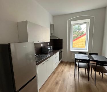 Zatec Apartment | Penzion Fortuna Žatec