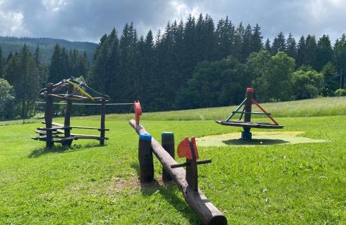 Pec pod Snezkou Hotel | Penzion Logla