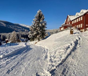 Pec pod Snezkou House | Penzion Pod lesem