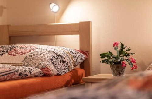 Cervena Voda House | Penzion u Vichu