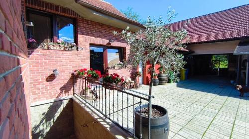Velke Nemcice House | Penzion Vinařský dvorek