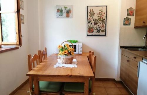 Pla de l'Ermita Apartment | Pequeño estudio Cuc 7