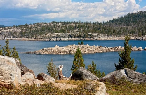 Mi-Wuk Village Other | Perfect Private Cabin Retreat in Mi-Wuk Village!