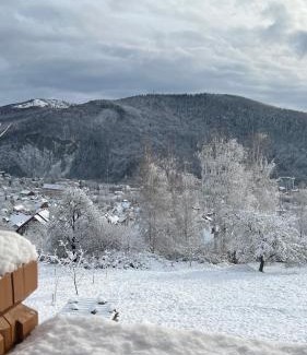 Yaremche House | PERFECT
