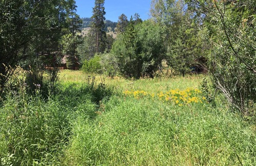 Moose Wilson Road Condo | Perfectly Poised for your Jackson Hole adventures