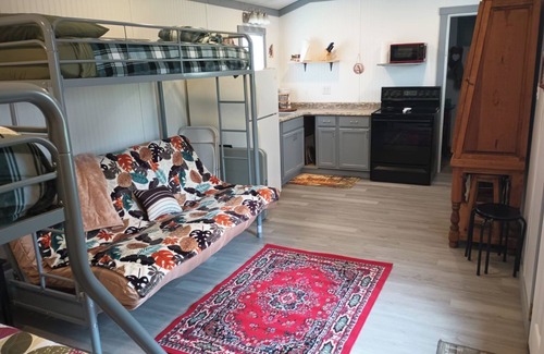 Saint Joe Cabin | Pet-Friendly cabin close to Buffalo Point