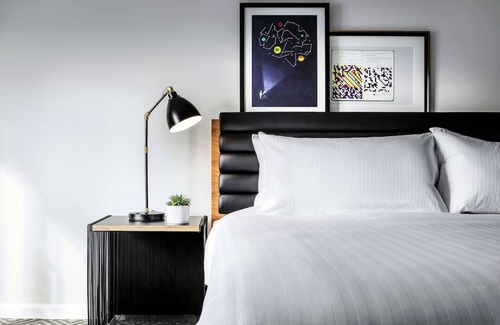 Cambridge Hotel | Pet-friendly Cambridge Stay Near Tufts University!