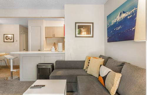 Vail Condo | Pet Friendly Creekside Condo - On Free Bus Route - Patio w/Grill