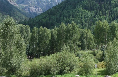 Telluride Condo | Pet friendly, luxury condo located on the sought after quiet end of Main Street