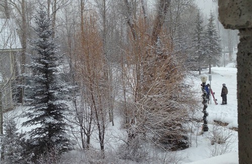 Telluride Condo | Pet friendly, luxury condo located on the sought after quiet end of Main Street