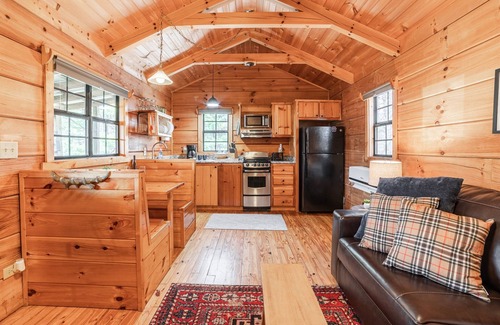 Hot Springs Cabin | Pet-Friendly Mountain Log Cabin for Couples