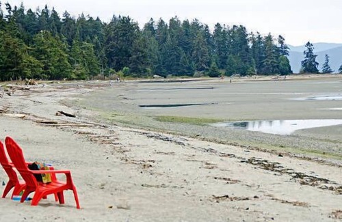Regional District of Nanaimo Cabin | Pet-friendly Vacation Home near Rathtrevor beach!