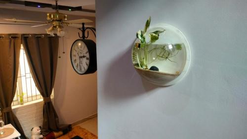 Coimbatore House | Peter's Cottage