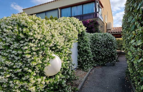 Sanary-sur-Mer Apartment | "petit coin de paradis" in Sanary sur Merngarden apartment with pool