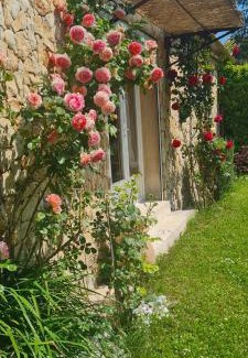 Mazan House | Petit gite de Provence
