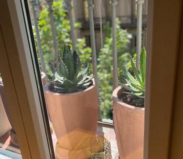 Eixample Apartment | Petit Rosselló