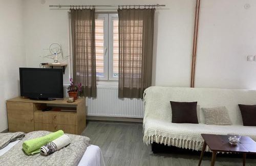 Bajina Basta House | Petković apartman