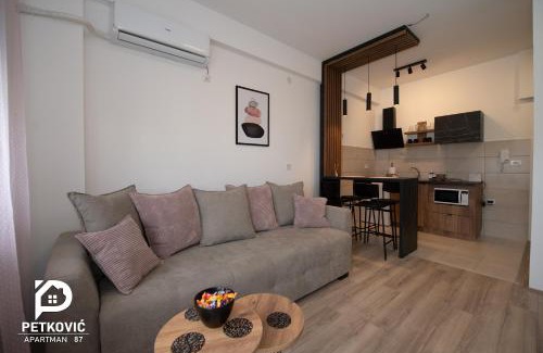 Jagodina Apartment | Petković apartmani 87