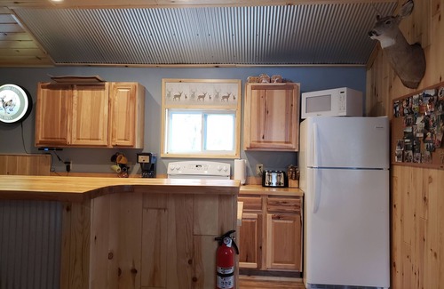 Petoskey Cabin | Petoskey - cozy, peaceful cabin in the woods. Close to trails and lakes!