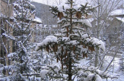 Beaver Creek Condo | PH TRU Ski-in/out walk 2 Village.1364 sf, 2 Kings, 3rd floor units large, BEST .