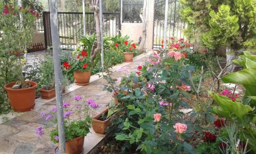 Gortyna House | Phaistos Country House