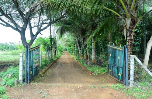 Nandigunda House | Phalguni Farm Stay