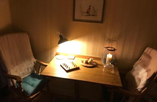 Liskeard Apartment | Phoenix Farm Shepherds Hut,Minions, Cornwall