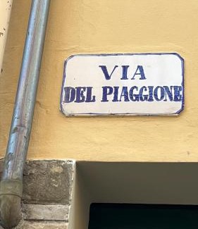 Santo Spirito Apartment | Piaggione Apt, Case Galante Apartments in Florence
