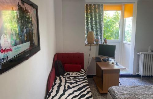 Sector 4 Apartment | Piata Resita Host