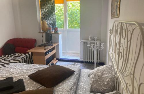 Sector 4 Apartment | Piata Resita Host
